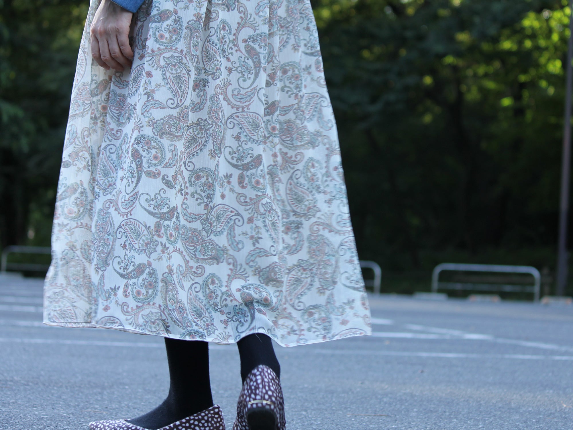 organdy paisley